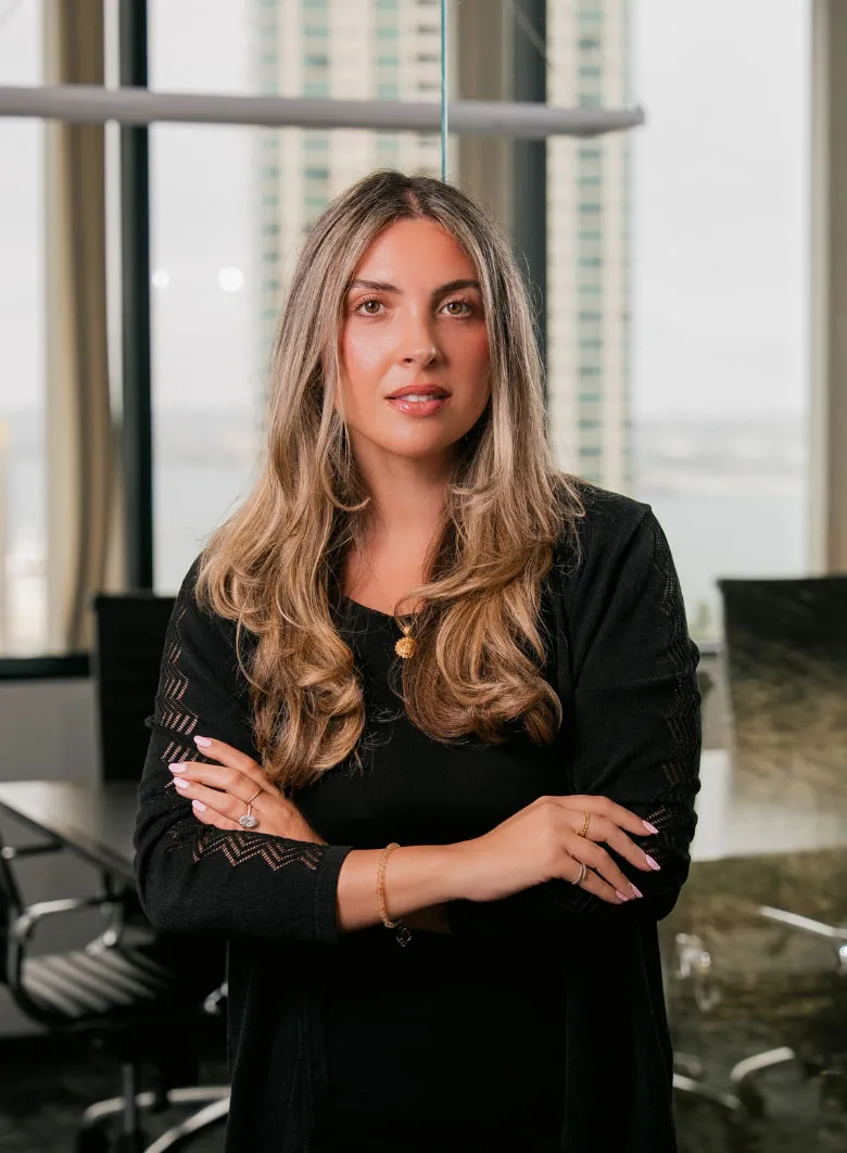 Shaudi Malek - Attorney